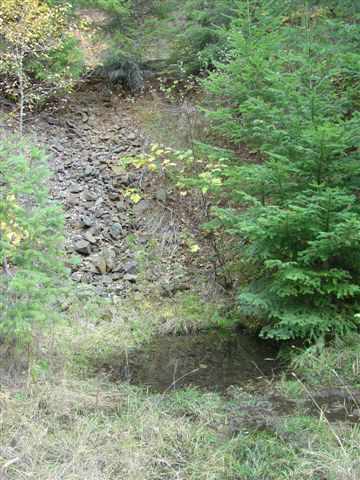 0 Lucky Joe Mine Road Newport, WA 99156 - Photo 7 of 9 Gallery Image 7