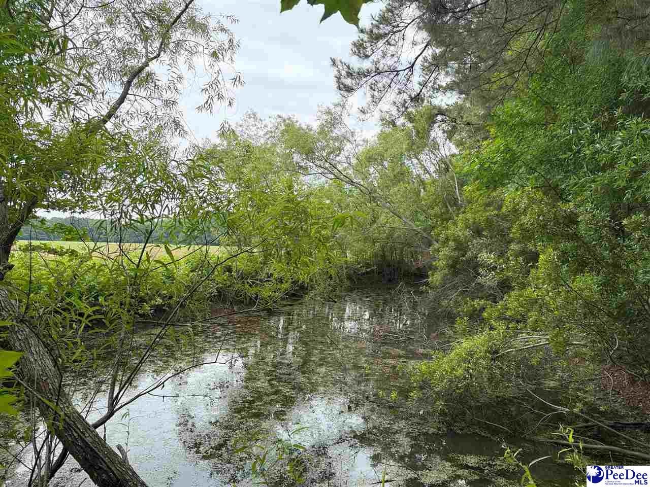 75-acres North Old Georgetown Road Coward, SC 29530 - Photo 27 of 27 Gallery Image 27