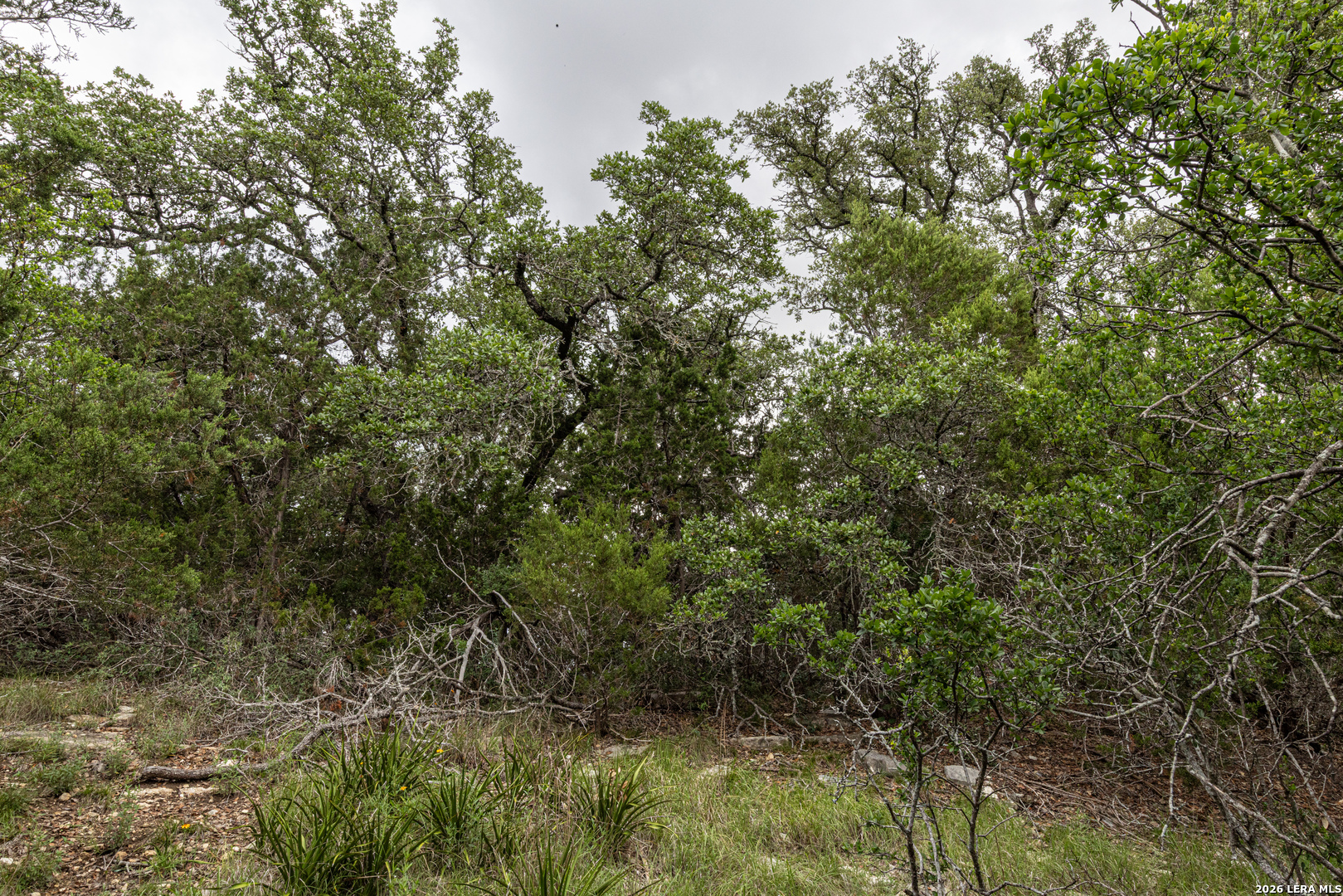 563 Abodar Trail Spring Branch, TX 78070 - Photo 13 of 55