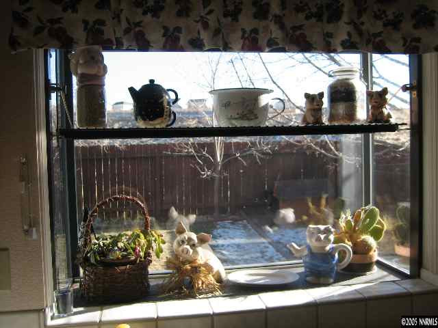 1070 Backer Way Reno, NV 89523 - Photo 6 of 8 a view of a window with glass vase