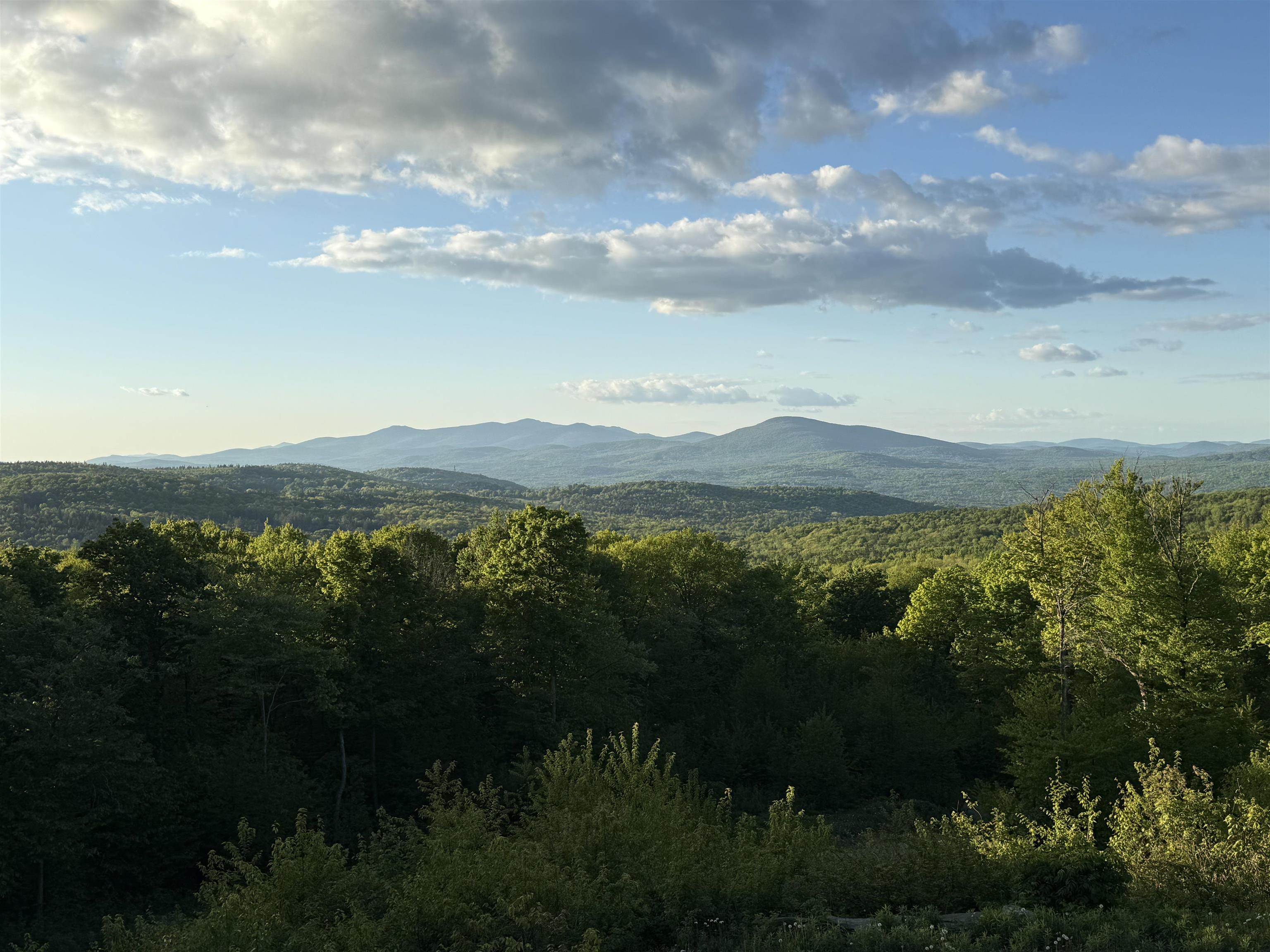 680 Government Road Mount Holly, VT 05730 - Photo 50 of 57