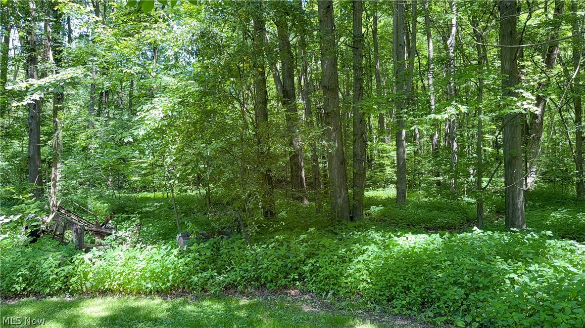 9621 Wolfe Road Windham, OH 44288 - Photo 35 of 39