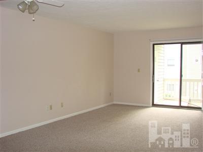 217 Estate Road Wilmington, NC 28405 - Photo 6 of 13 Additional Photo