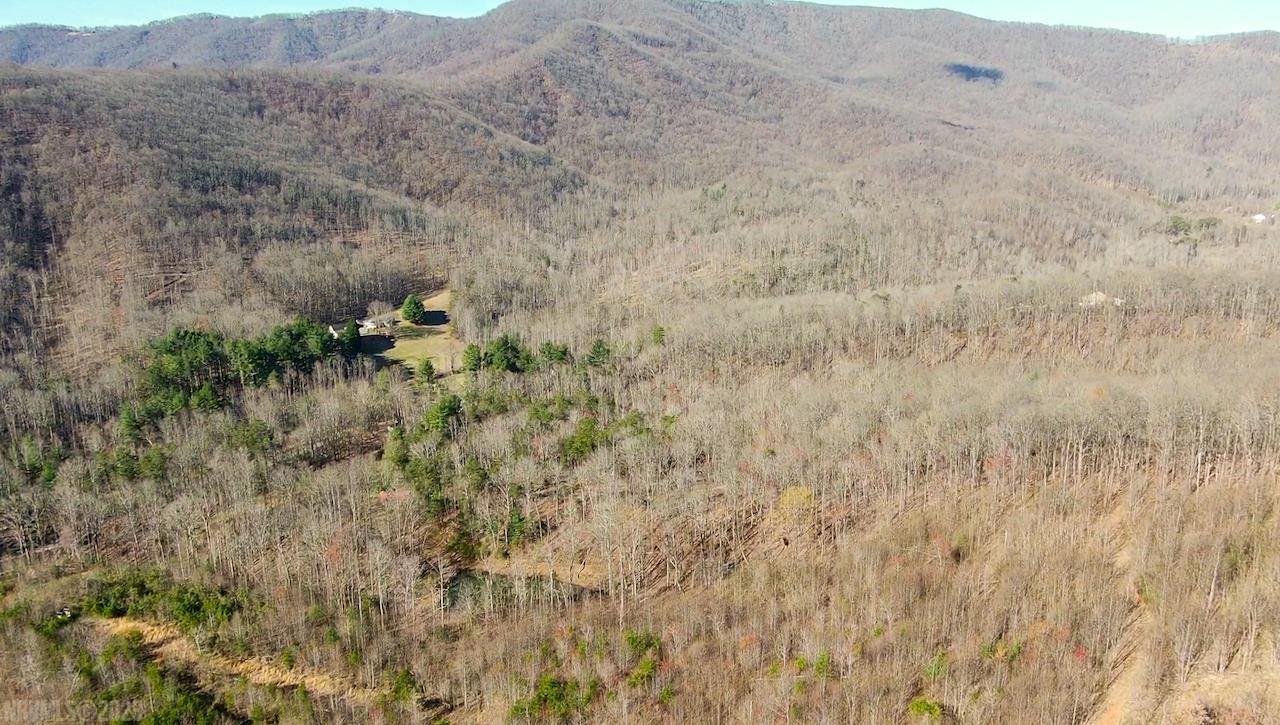0 Brammer Spur Road Woolwine, VA 24185 - Photo 37 of 39 Gallery Image 37