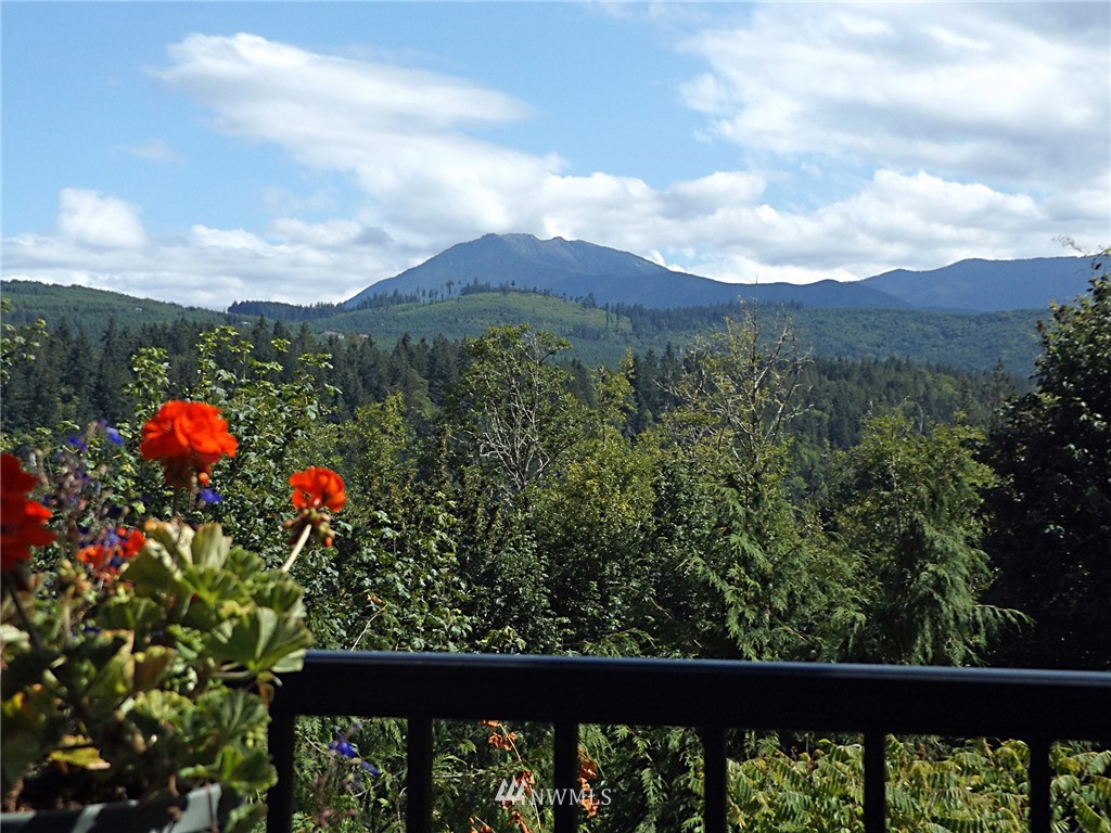 737 Glass Road Port Angeles, WA 98362 - Photo 31 of 40 Gallery Image 31