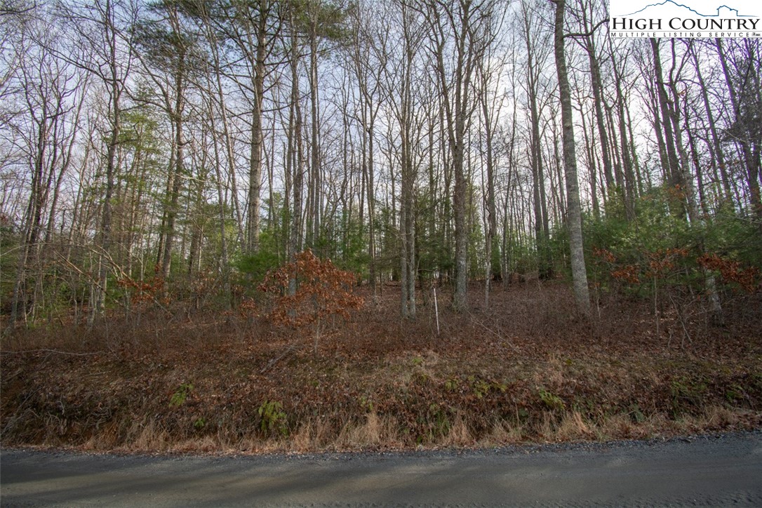 3-5 Martin Gambill Road Crumpler, NC 28617 - Photo 2 of 6 Gallery Image 2