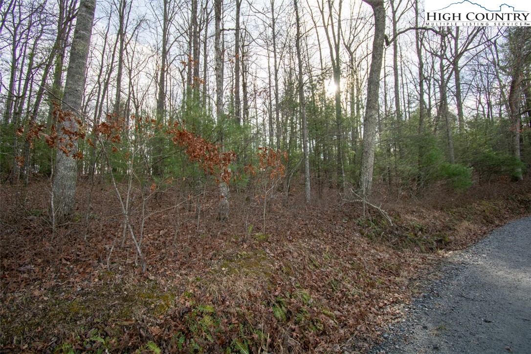3-5 Martin Gambill Road Crumpler, NC 28617 - Photo 3 of 6 Gallery Image 3