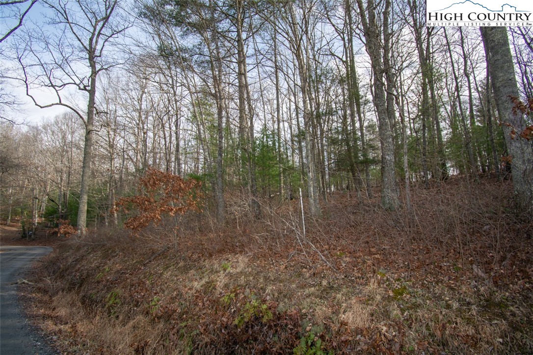 3-5 Martin Gambill Road Crumpler, NC 28617 - Photo 4 of 6 Gallery Image 4