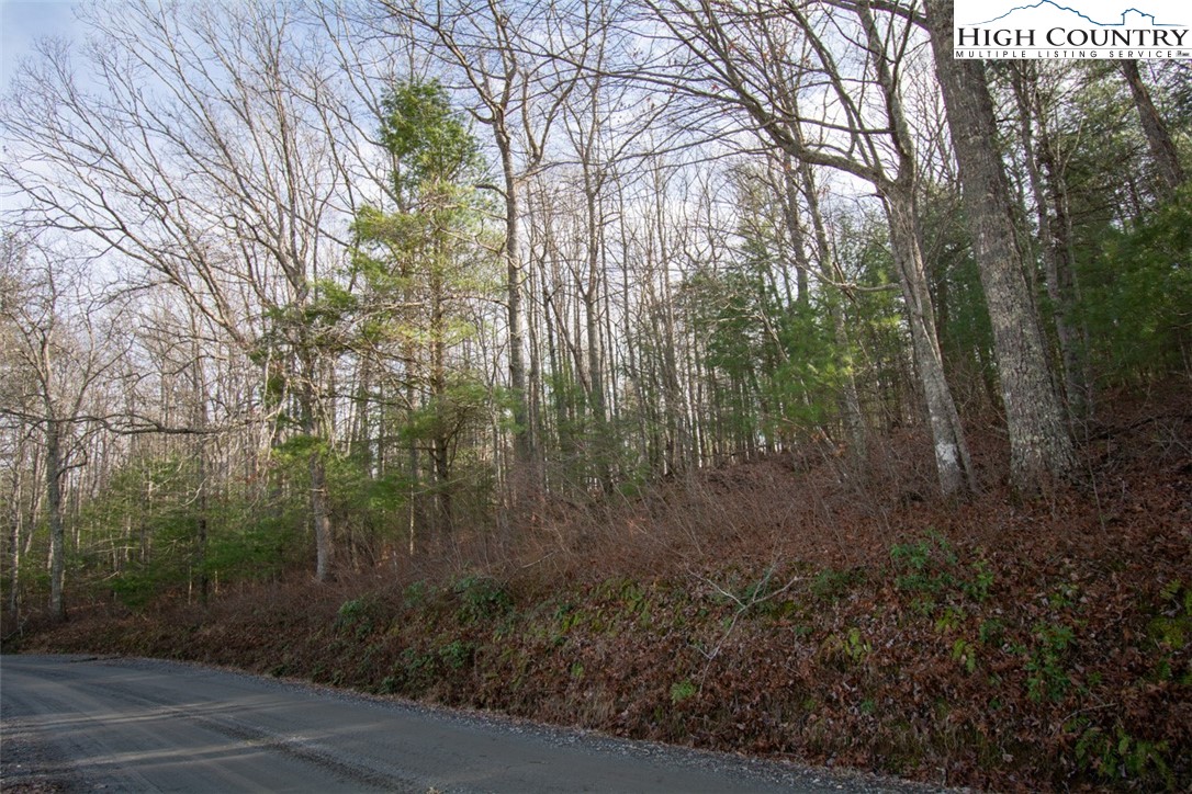 3-5 Martin Gambill Road Crumpler, NC 28617 - Photo 6 of 6 Gallery Image 6