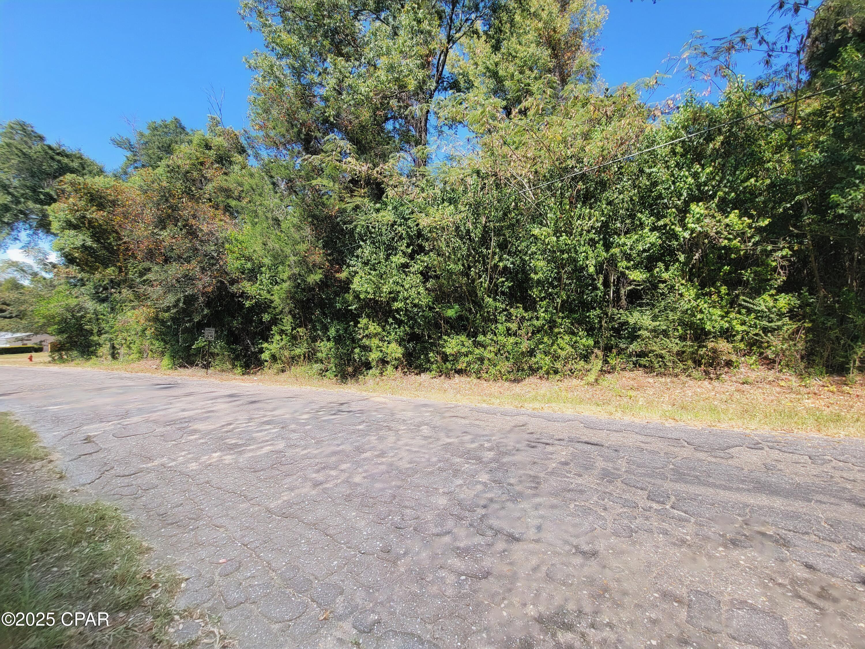 0 River Road Marianna, FL 32446 - Photo 2 of 5