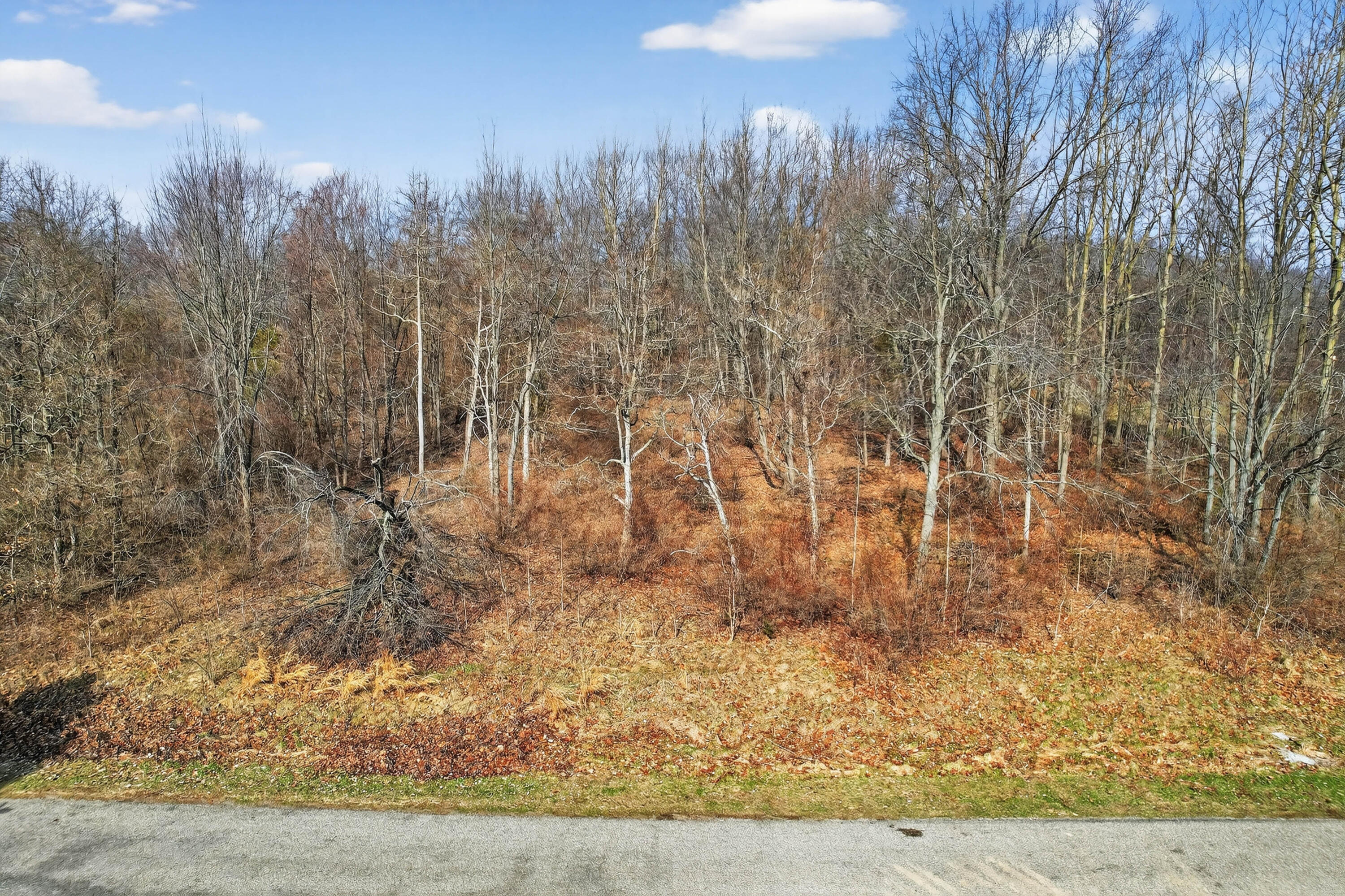 61570 Raintree Boulevard Sturgis, MI 49091 - Photo 6 of 14 12-61570-Raintree-Blvd-WindowStill-1