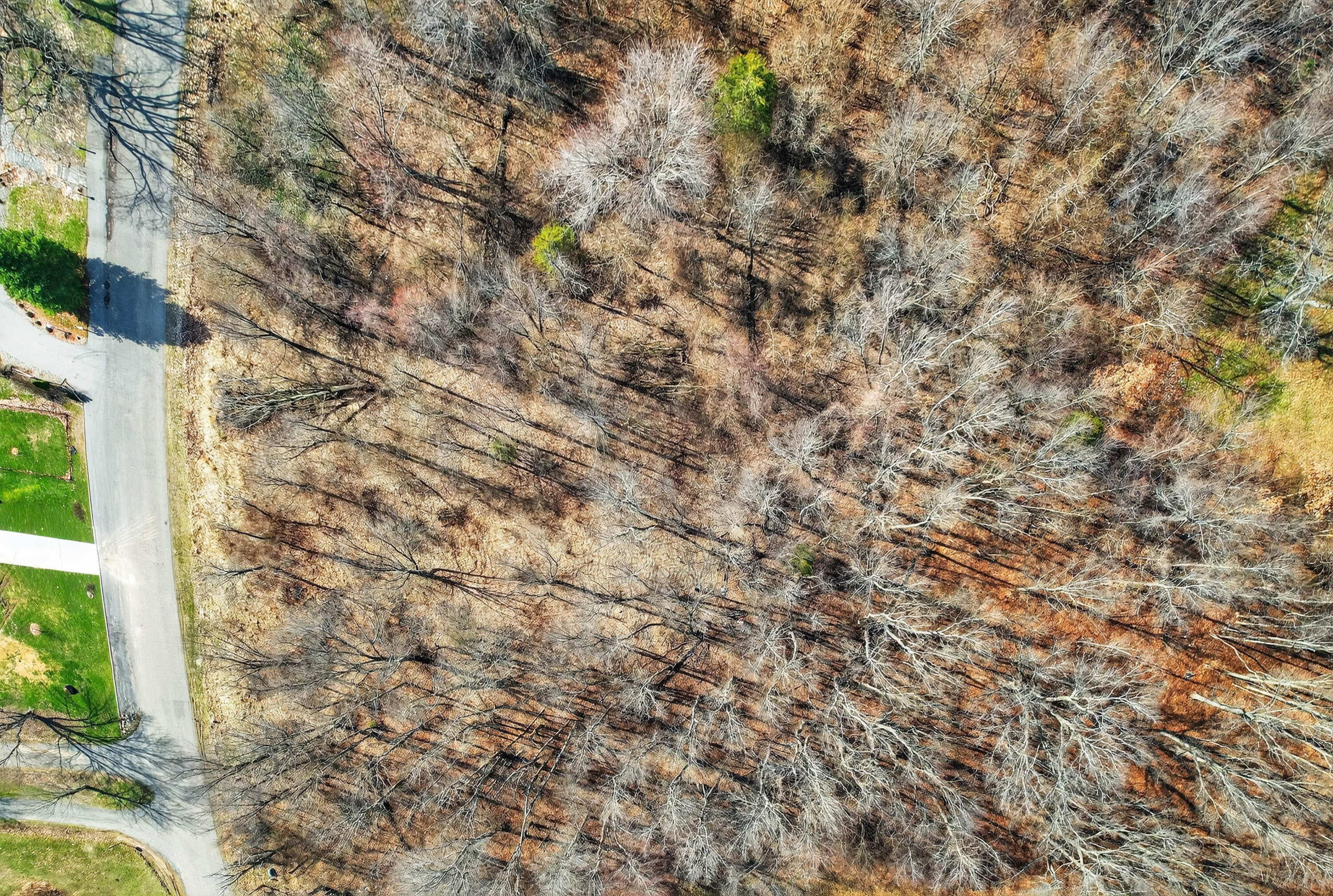 61570 Raintree Boulevard Sturgis, MI 49091 - Photo 9 of 14 06-61570-Raintree-Blvd-WindowStill-9