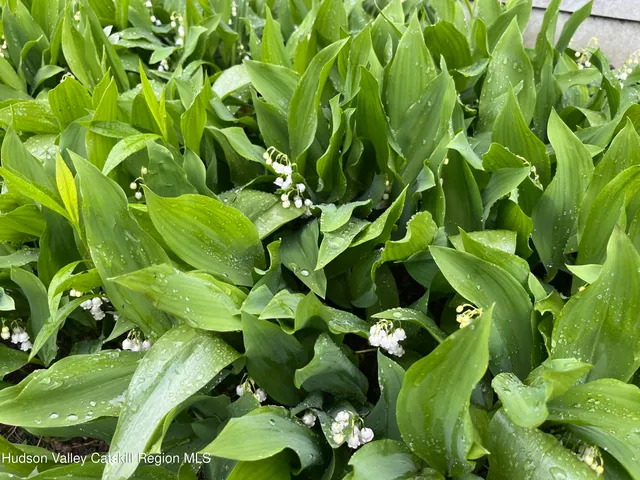 $510,000 | 27 Grays Lane, Tannersville, NY 12485