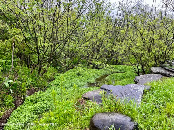 a view of yard with green space