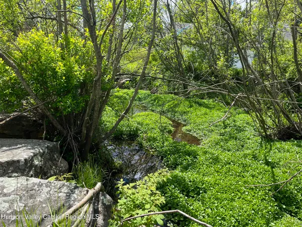 a view of a yard with plants and large trees