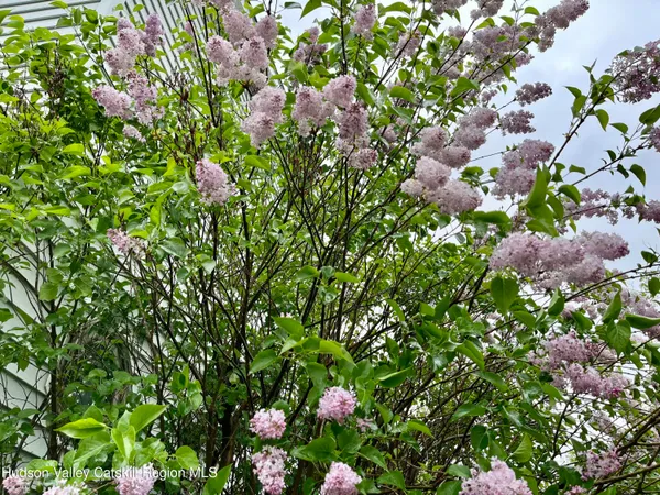 a backyard of a house