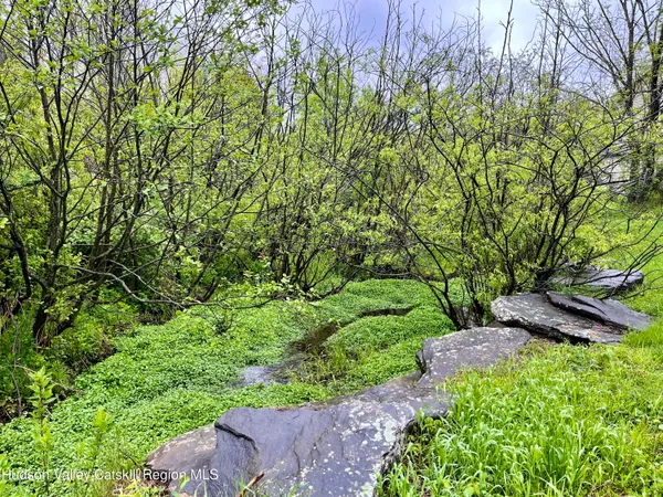 a view of a garden with a tree