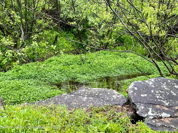 a view of yard with green space