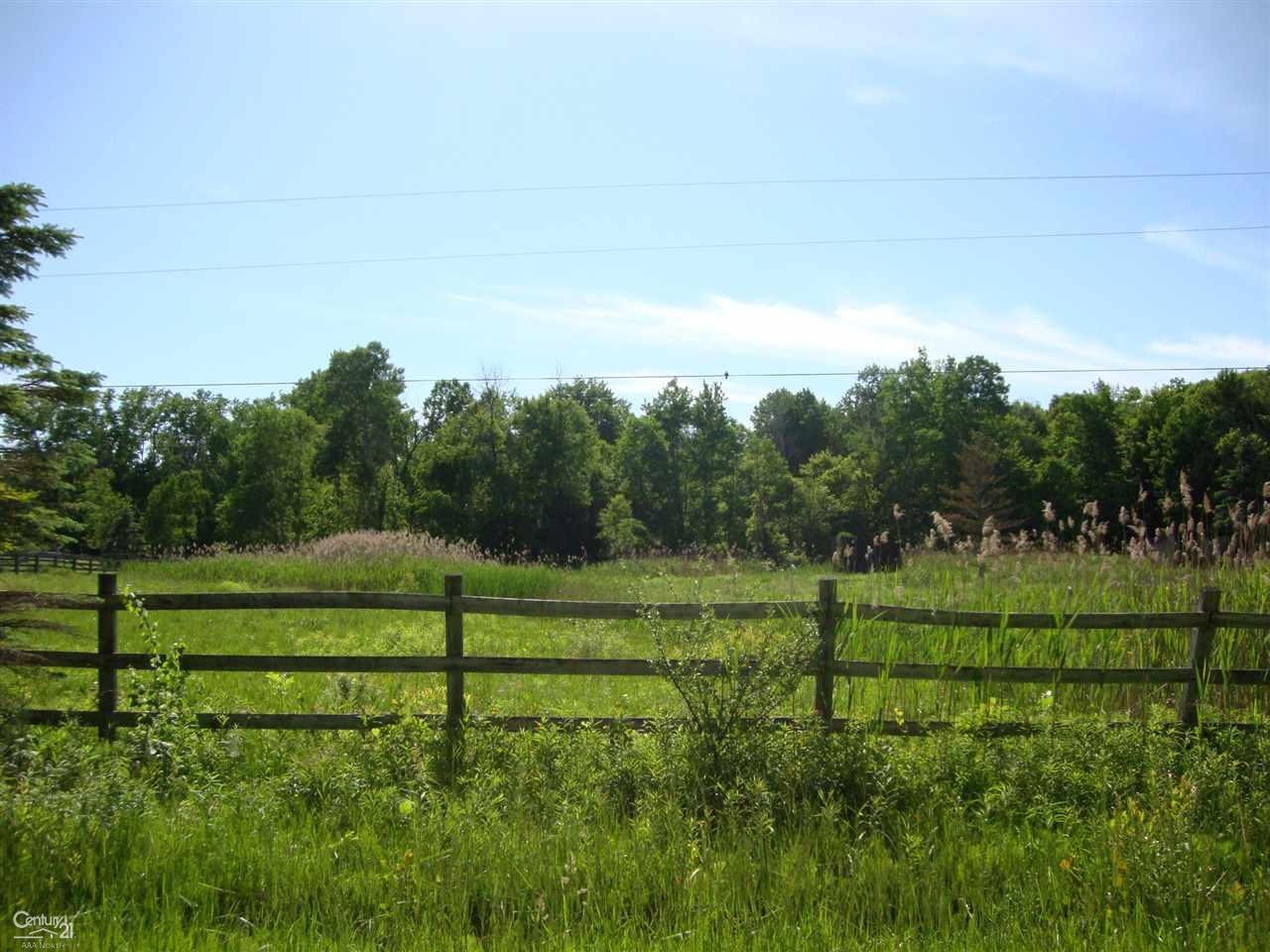 6536 Rynn Road North Street, MI 48049 - Photo 8 of 10