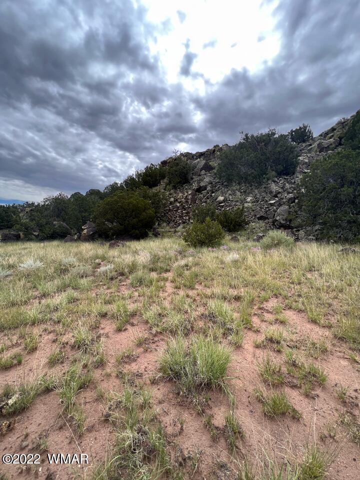 Lot 341 Riversprings Ranch St. Johns, AZ 85936 - Photo 14 of 27
