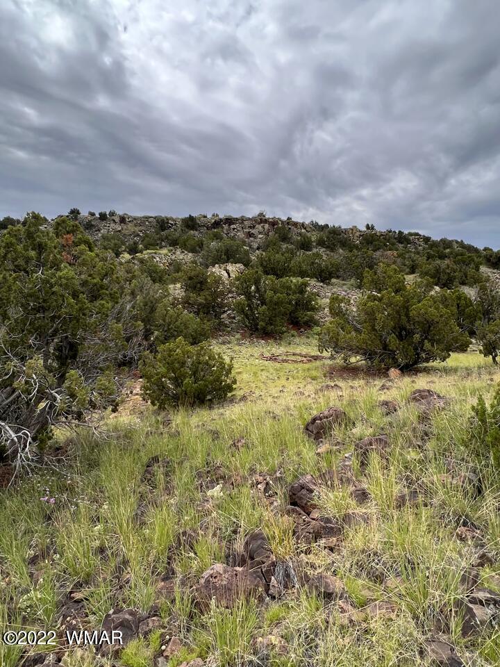 Lot 341 Riversprings Ranch St. Johns, AZ 85936 - Photo 19 of 27