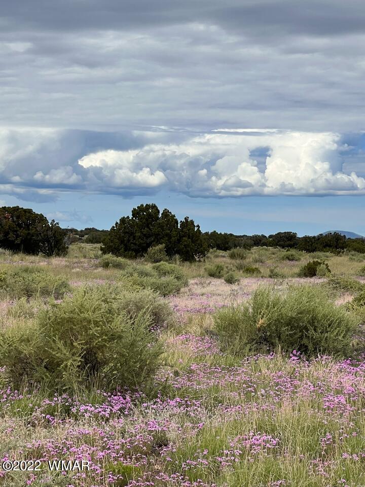 Lot 341 Riversprings Ranch St. Johns, AZ 85936 - Photo 25 of 27