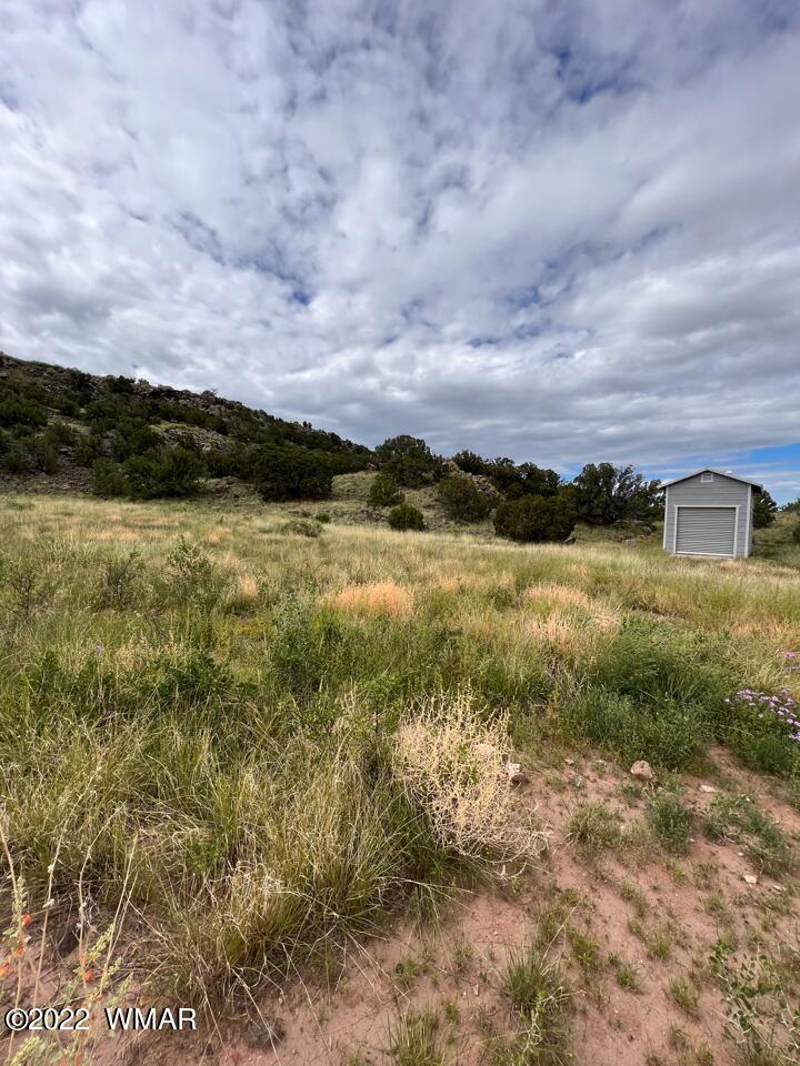 Lot 341 Riversprings Ranch St. Johns, AZ 85936 - Photo 27 of 27