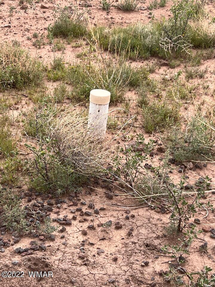 Lot 341 Riversprings Ranch St. Johns, AZ 85936 - Photo 8 of 27