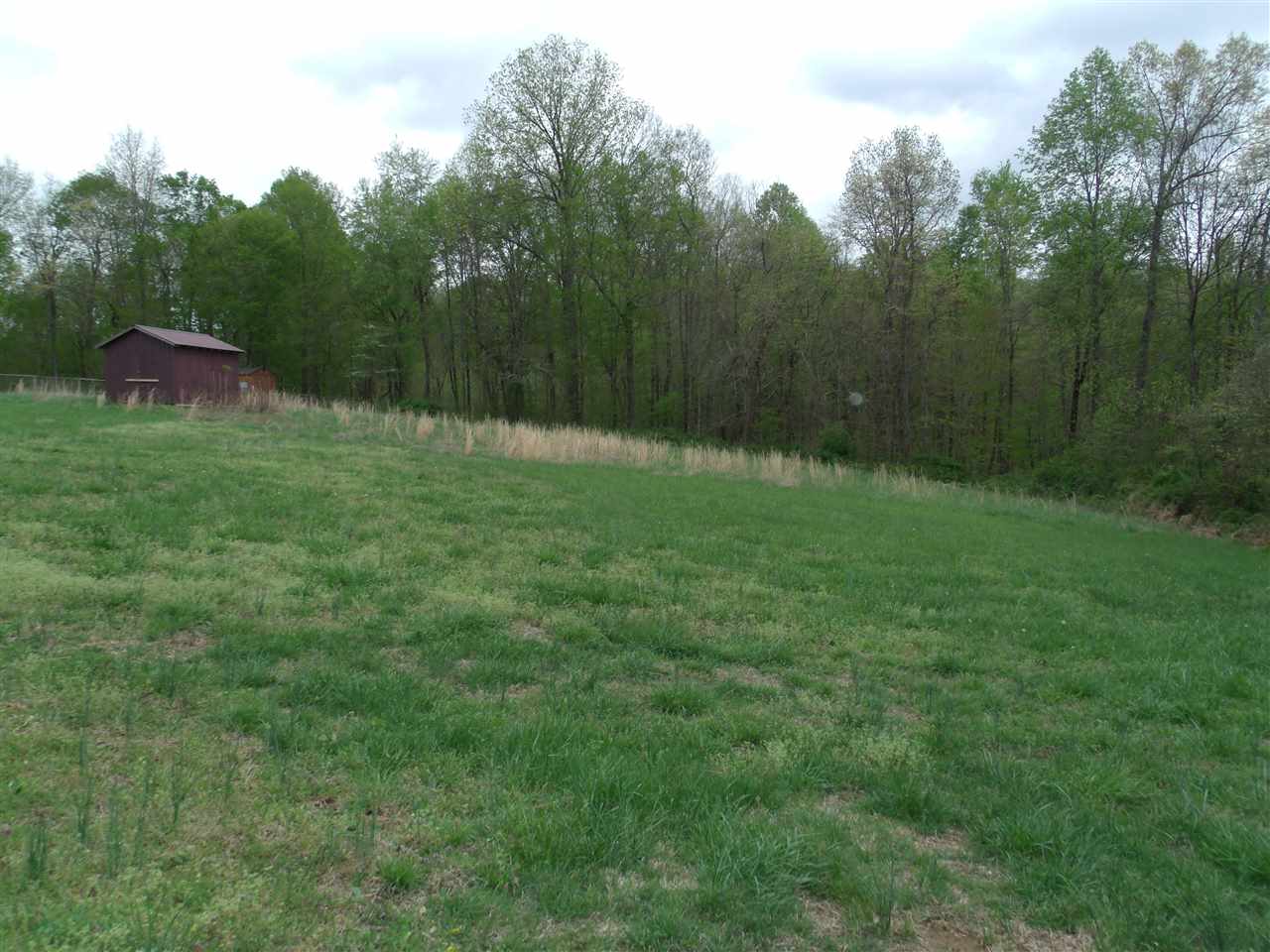 1567 A R Oliver Road Scottsville, KY 42164 - Photo 12 of 13 Gallery Image 12