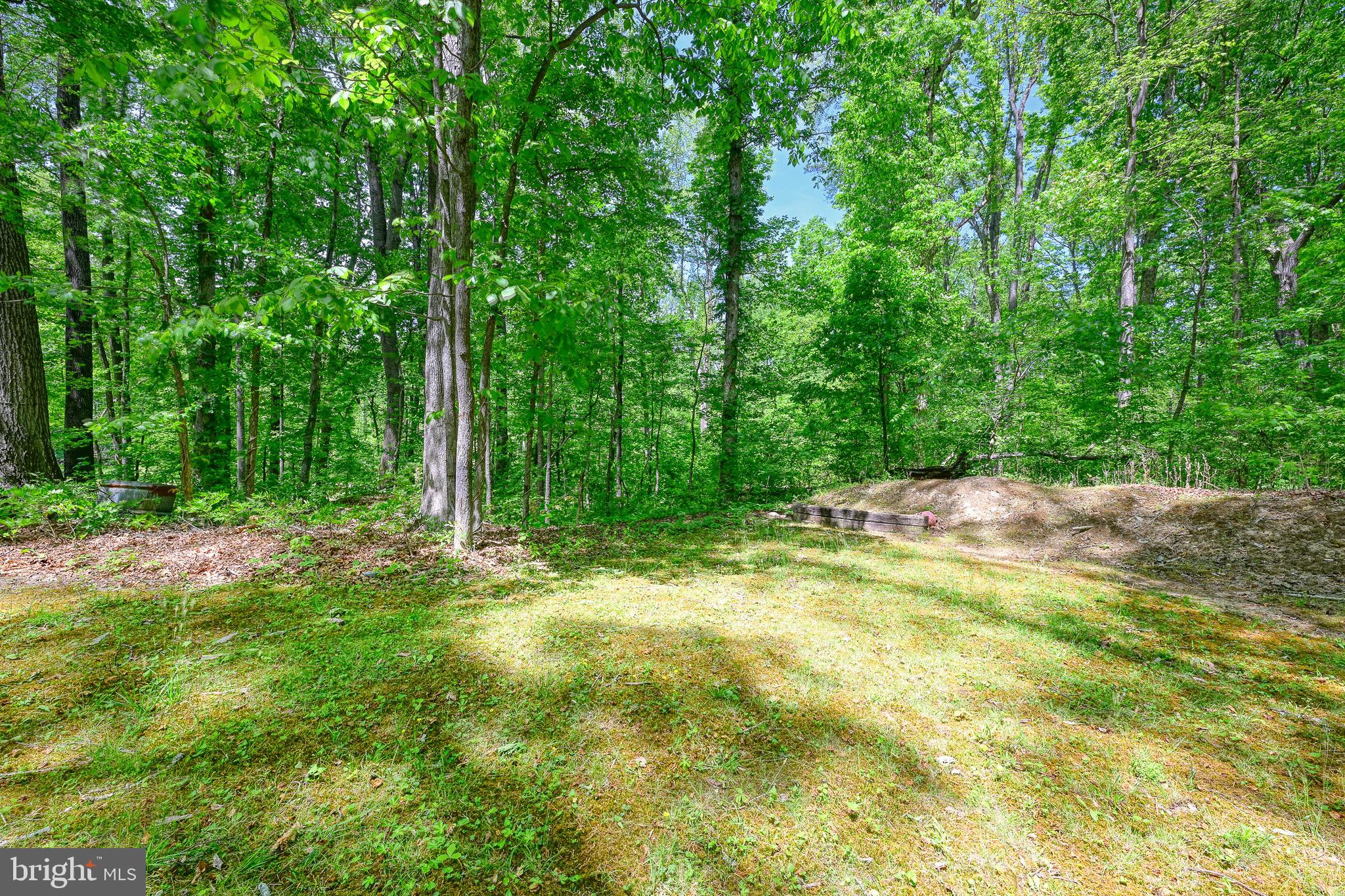 14584 Cross County Road Mineral, VA 23117 - Photo 51 of 61 Gallery Image 51