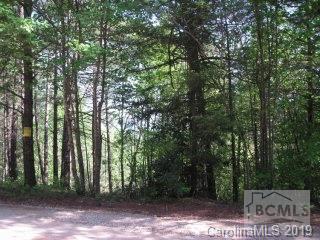 V/l Wolf Pit Road Morganton, NC 28655 - Photo 1 of 1 Gallery Image 1