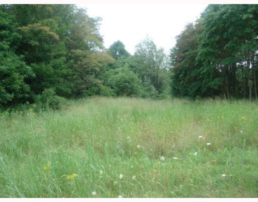 191 Pletcher Road White, PA 15490 - Photo 4 of 8 Land/Lot.
