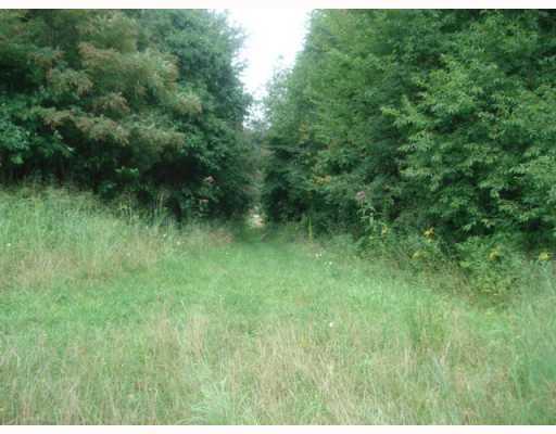 191 Pletcher Road White, PA 15490 - Photo 5 of 8 Land/Lot.