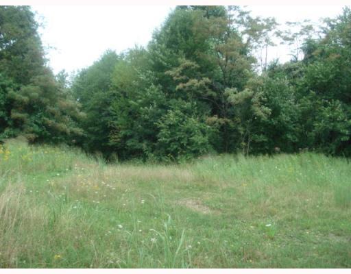191 Pletcher Road White, PA 15490 - Photo 7 of 8 Land/Lot.