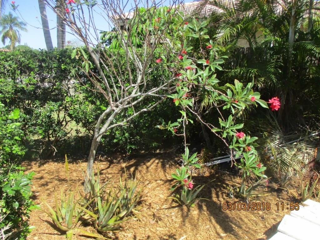 22162 East Soliel Circle Boca Raton, FL 33433 - Photo 58 of 76 Photo 64
