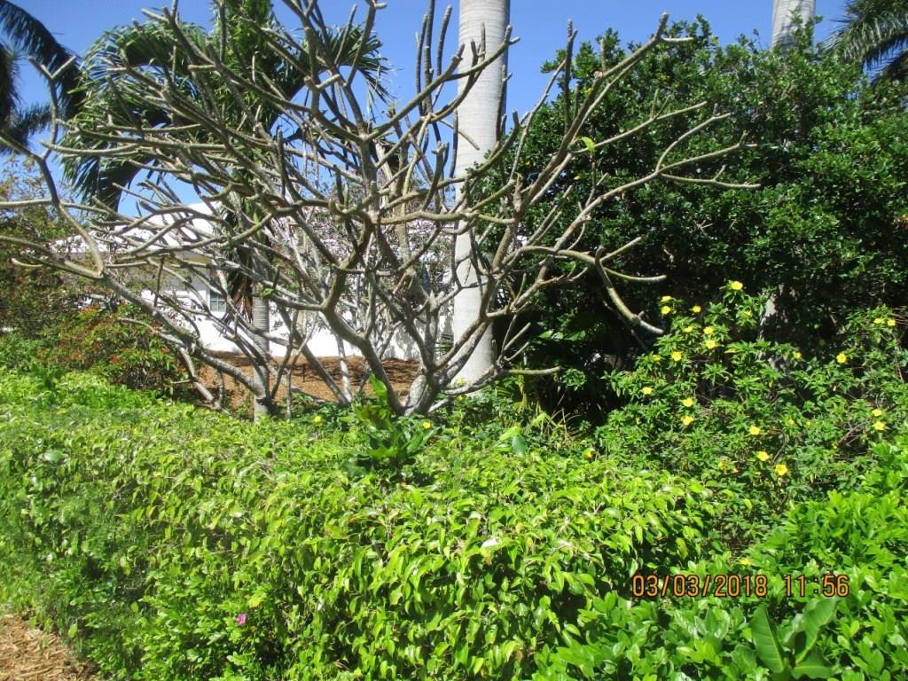 22162 East Soliel Circle Boca Raton, FL 33433 - Photo 62 of 76 Photo 68