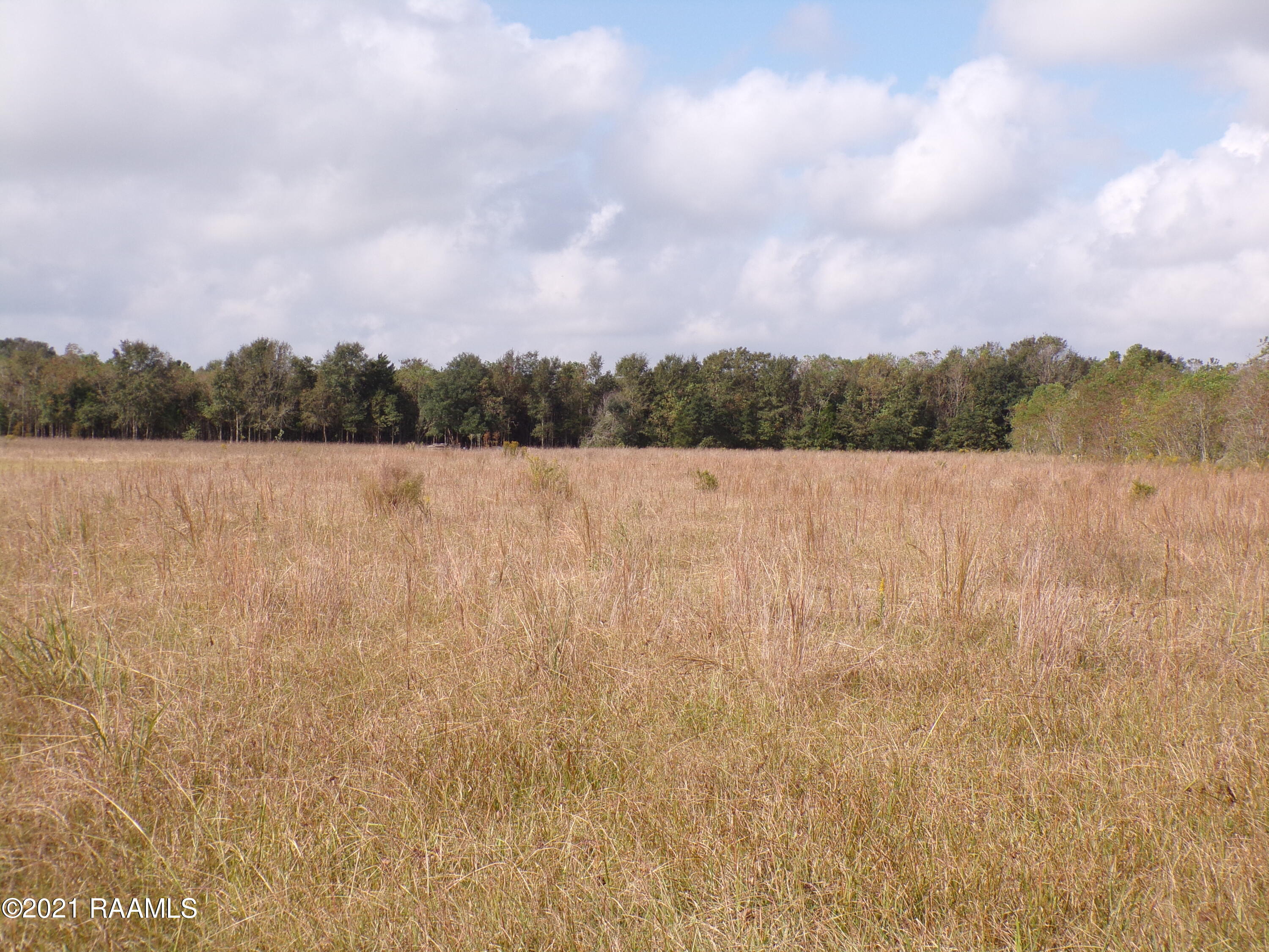 Tbd Duplechin Road Church Point, LA 70525 - Photo 1 of 7 Gallery Image 1