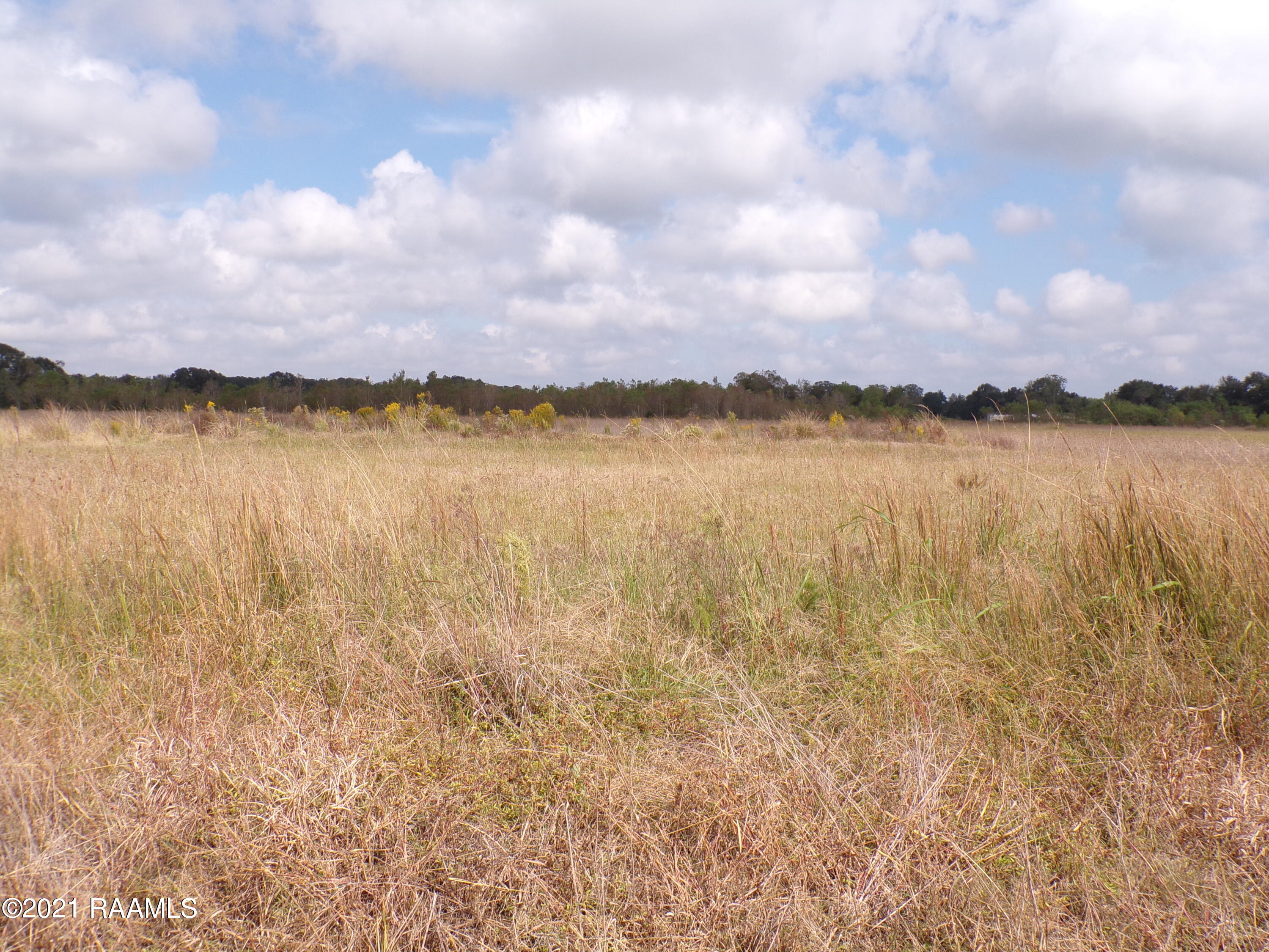Tbd Duplechin Road Church Point, LA 70525 - Photo 3 of 7 Gallery Image 3