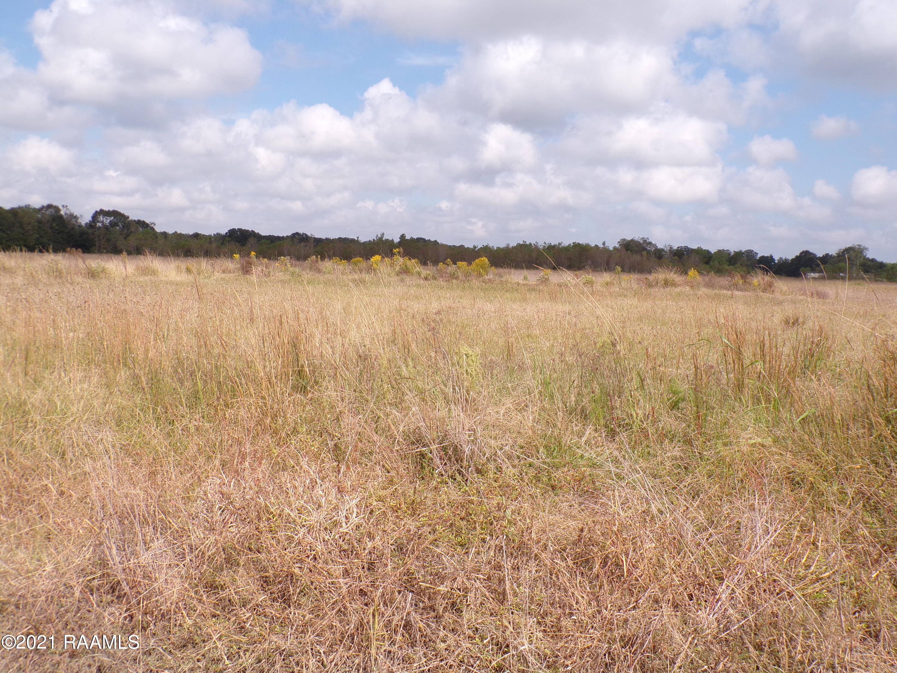 Tbd Duplechin Road Church Point, LA 70525 - Photo 4 of 7 Gallery Image 4