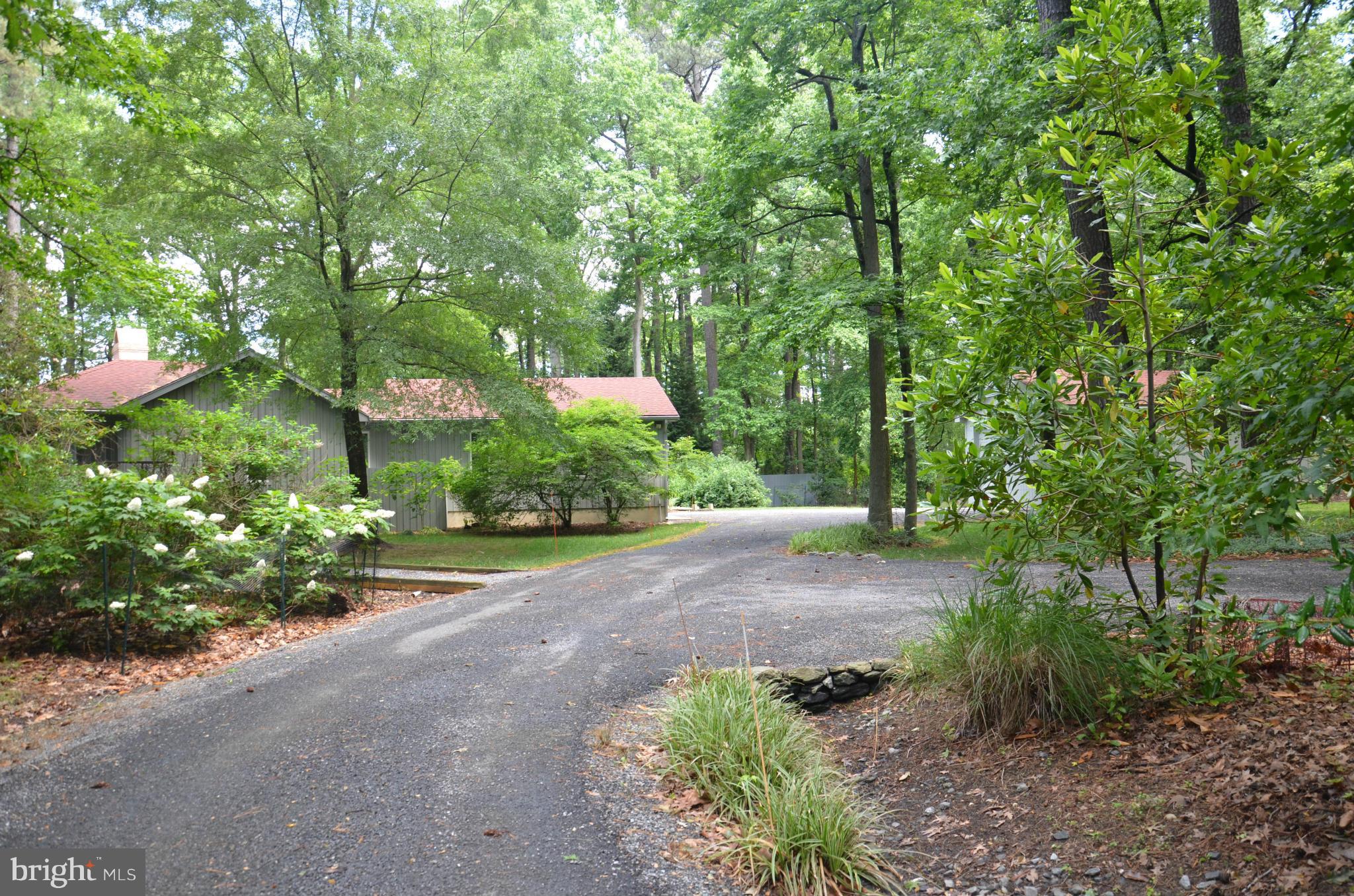 26330 Westerly Road Easton, MD 21601 - Photo 29 of 30 View from driveway