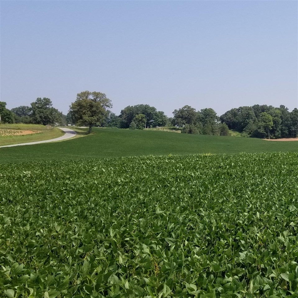 Lot 1 Salem Road Franklin, KY 42134 - Photo 2 of 2 Gallery Image 2