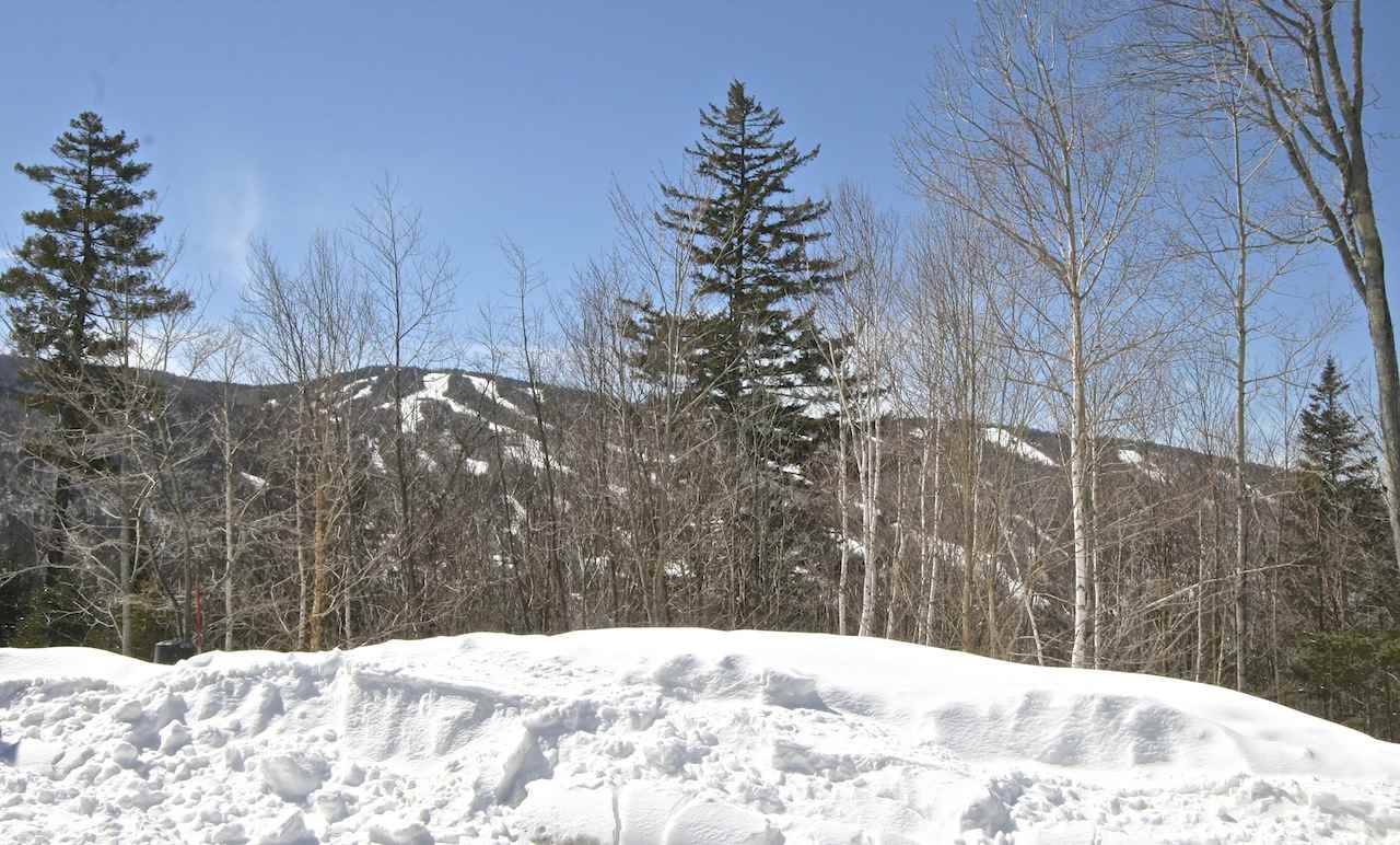 402 Hannah Loop, Unit 102 Carroll, NH 03595 - Photo 36 of 36 Gallery Image 36