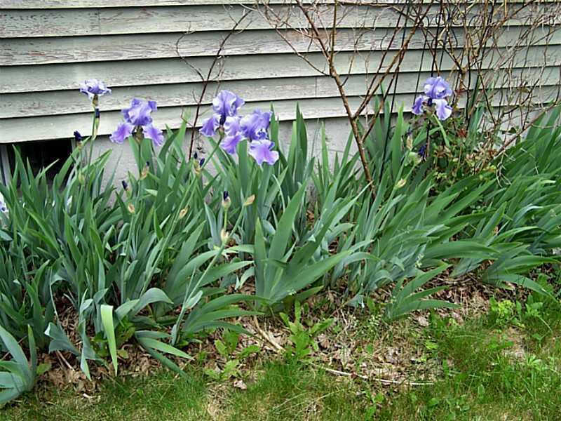 52 Barnstable Road South Portland, ME 04106 - Photo 11 of 14 Other.