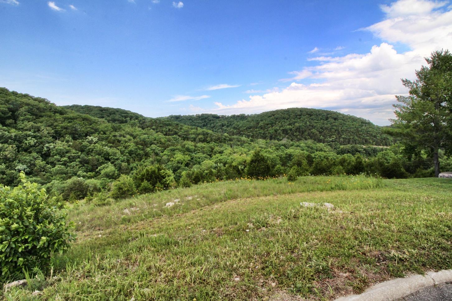 Lot 8 Silver Oak Place Reeds Spring, MO 65737 - Photo 1 of 1 Lot 8 SilverOak Pl