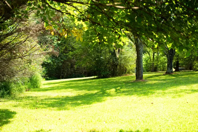 a view of swimming pool with a yard
