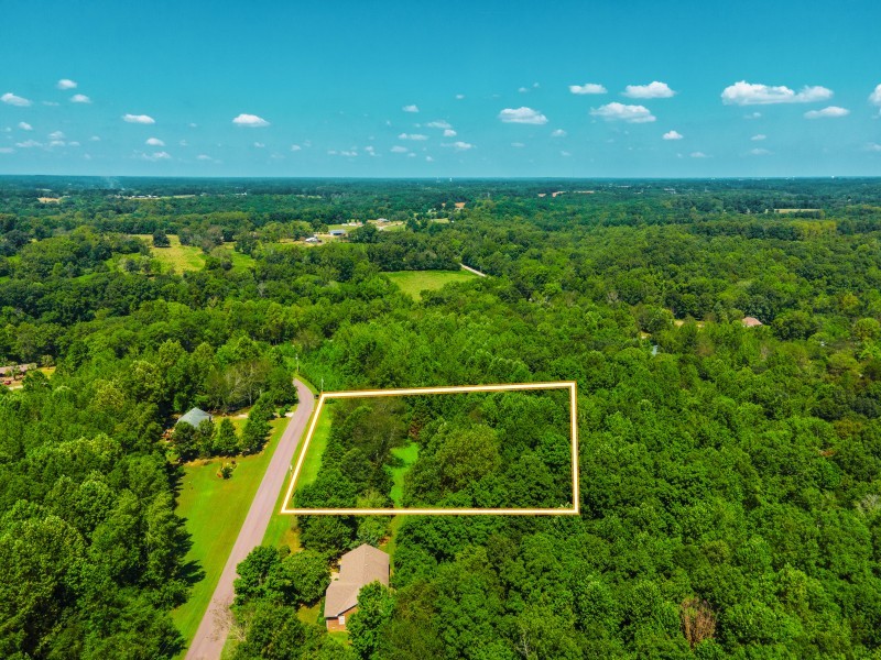 0 Mannin Road Leoma, TN 38468 - Photo 2 of 6 a view of an outdoor space and a yard