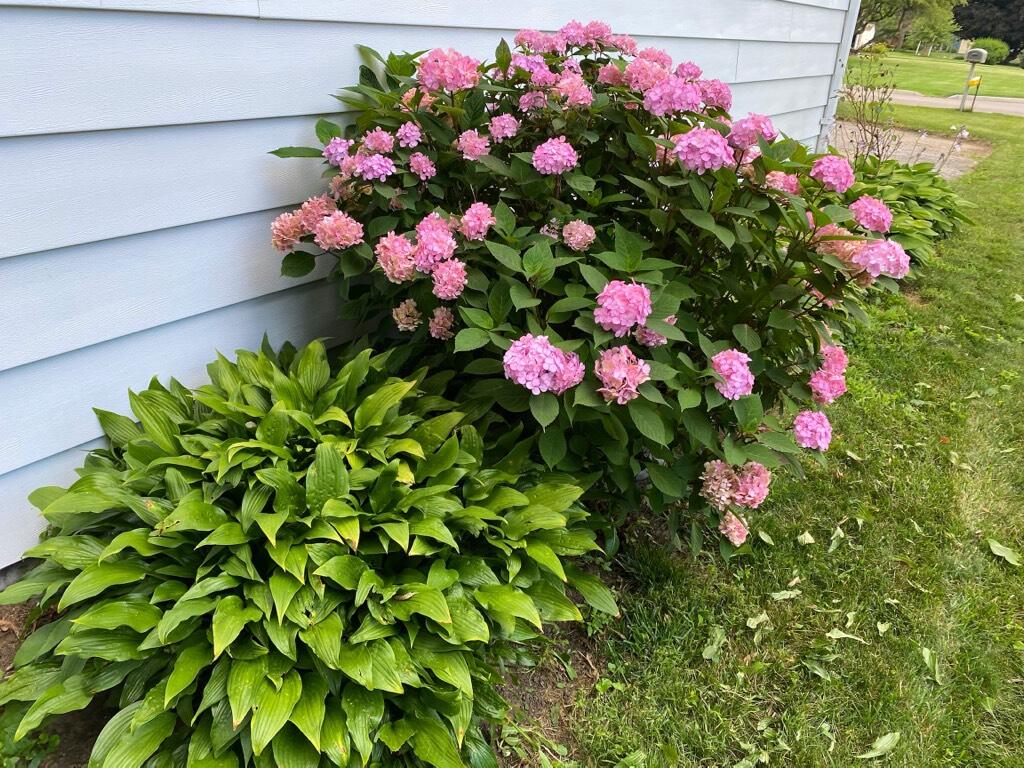 2182 South Hanley Road St. Joseph, MI 49085 - Photo 37 of 38 004 (7)