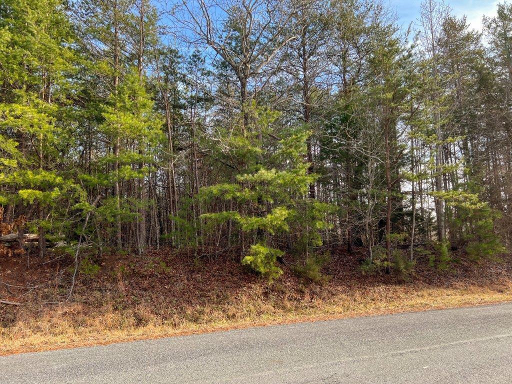 Lot 8 Truevine Road Rocky Mount, VA 24151 - Photo 1 of 16 a view of a yard with plants and trees