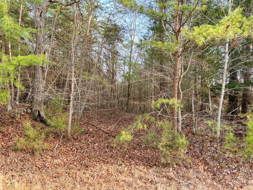 Lot 8 Truevine Road Rocky Mount, VA 24151 - Photo 3 of 16 a view of a pathway both side of a road