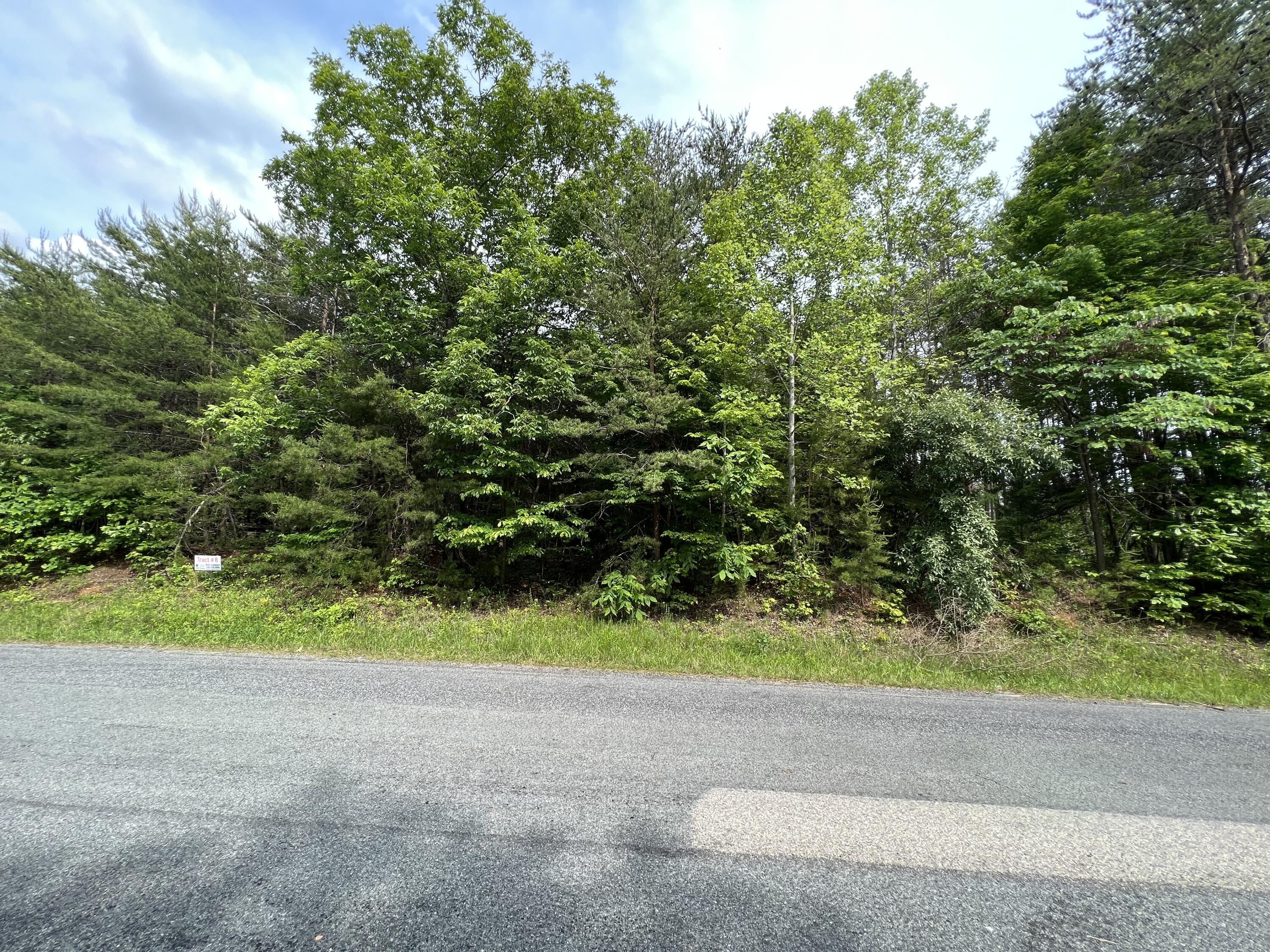 Lot 8 Truevine Road Rocky Mount, VA 24151 - Photo 8 of 16 a view of outdoor space and yard